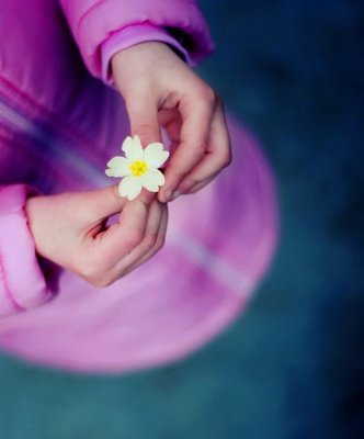 珍惜同学的句子