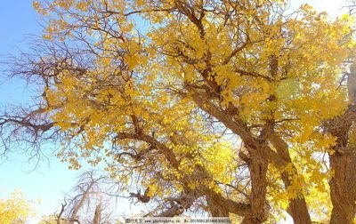 灵魂旅行关于友谊句子1