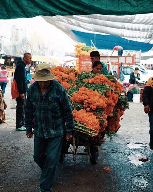 15.有时，在一定程度上失望后，它将打开一朵花，花的名称，没关系。