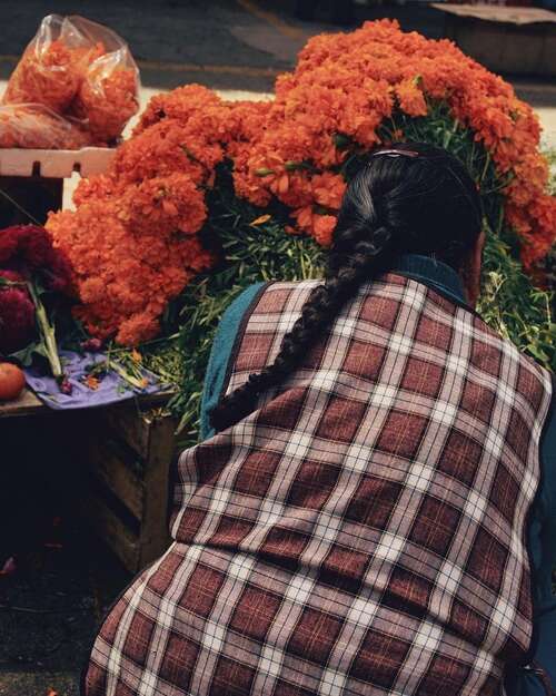 甜蜜的句子缺乏安全