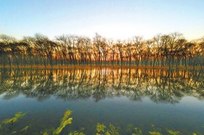 15.世界是一个幸福的事情。