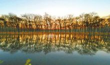 浪漫的友情句子说说心情