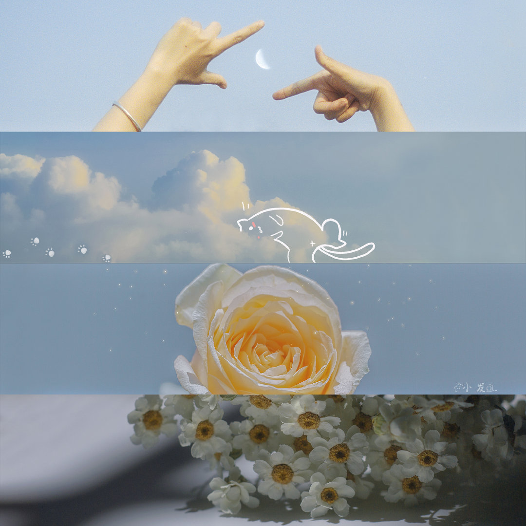 害怕失去悲伤的判决