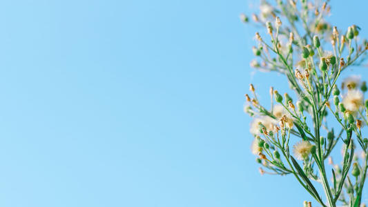 我喜欢男神神秘句子1