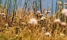 充满正能量早安的句子