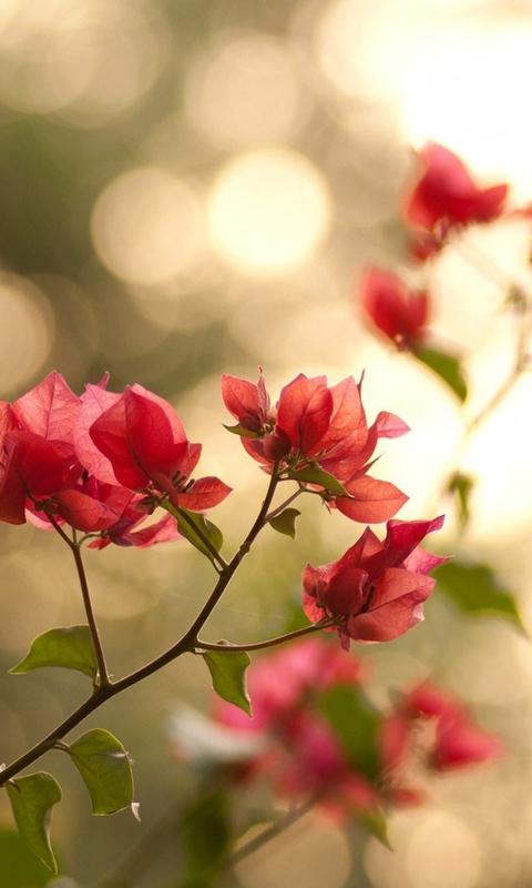 错过了一个幸福的句子