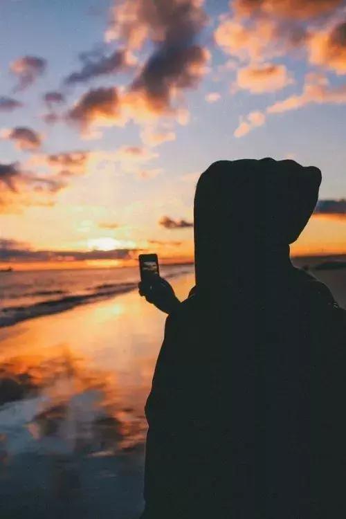 15，日本不读，没有人能看到;不要在一周内学习，开始爆发; 1月份没有阅读，智商迷失在猪身上。