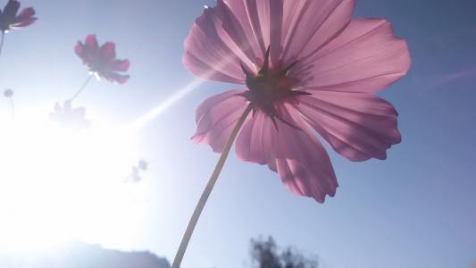 15.暑假很开心，假期很难。邀请的朋友到处逃跑，欣赏祖国的景观。海边挑选百灵陶涛，山上的鸟类被称为，草原是路由，国家风格在周围。愿你珍惜一个美好的时光，快乐的le le！