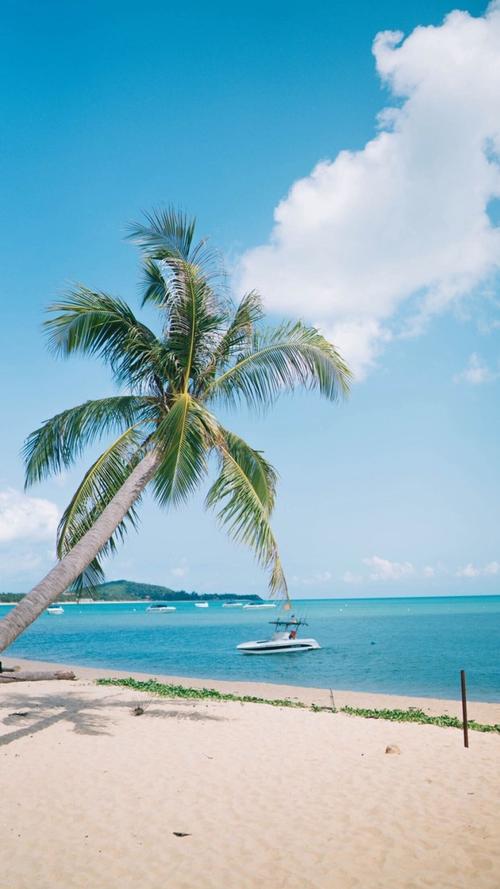 10,瑜伽大师有一种生命感,练习时间越长,你会发现每次运动都享受,所以我忘记了痛苦;一枪是“与世界亲密接触”。我很高兴。