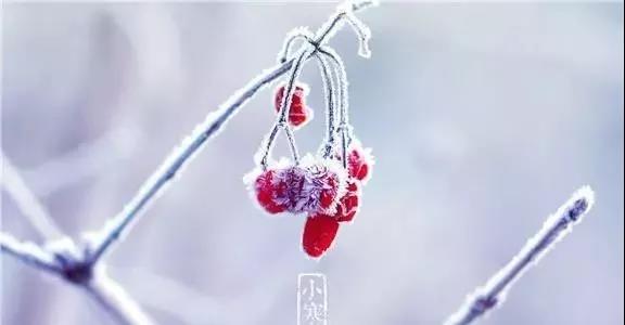 小燕朋友圈文章1