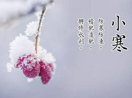 30,Laqiao 8,出去冻结。