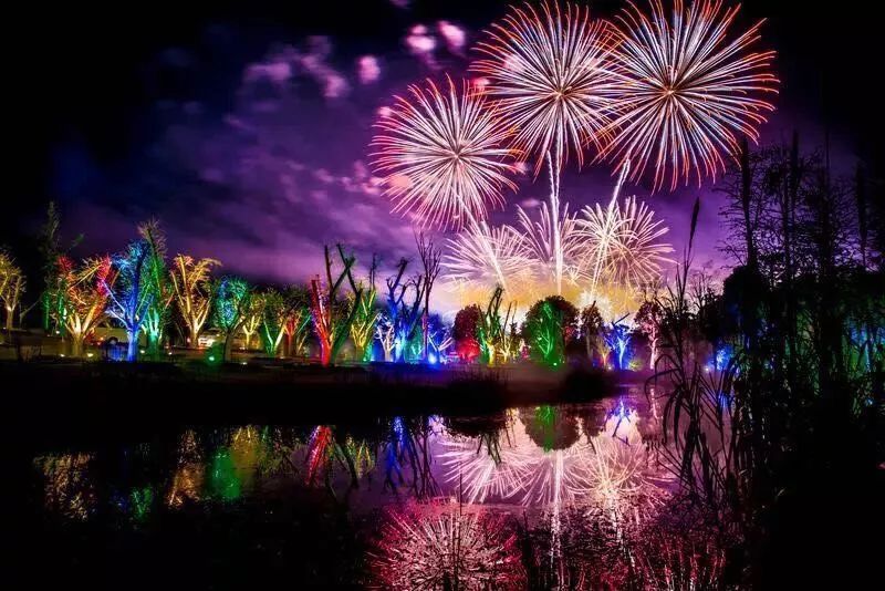 15，新的一年，我必须是海王，不守规矩，有一个声音，最好来到绿茶，让我享受竞争的味道。