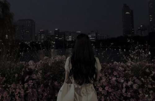 29,活泼的是他们,我没有任何东西。