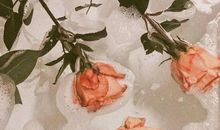 很暖心很有爱的句子