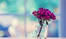 忙于工作没有爱情疏远友情的句子