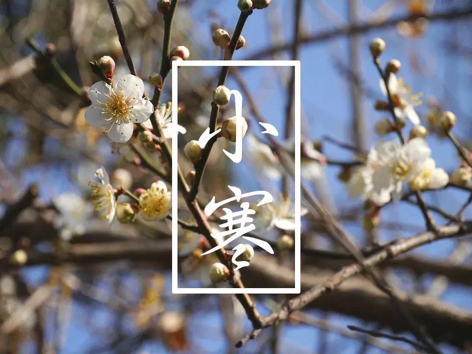 10，小冷即将来临，我将通过四个荣誉。这为勤奋的衣服感到自豪，认为美是羞愧的;运动为身体感到骄傲，懒惰的饮食是羞耻;它为常规饮食感到自豪，因为暴饮暴食是耻辱;接受祝福，而不是返回信息羞耻。早上好