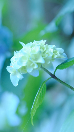 关于快乐的句子