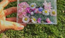 关于开心的那些句子