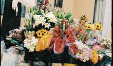 安慰正在找工作的人