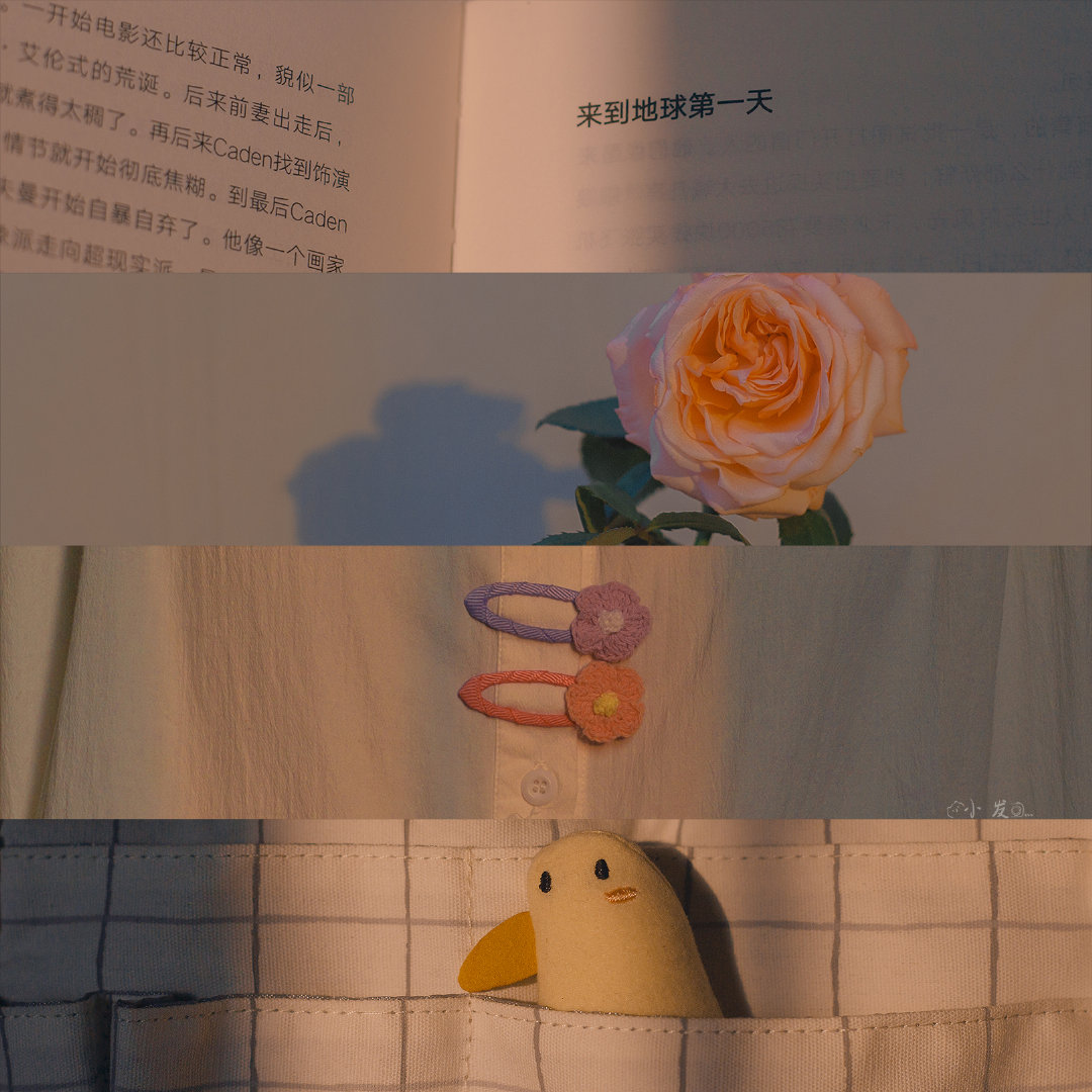 人们在生活中安慰的人