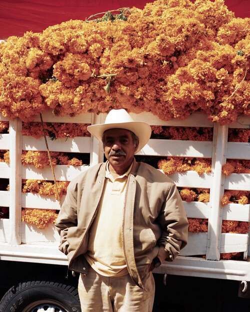 在生活中舒适的人愉快的人