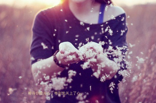 10.如果生活就像你一样，秋风是什么。