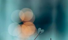 朋友圈情感说说的好句子