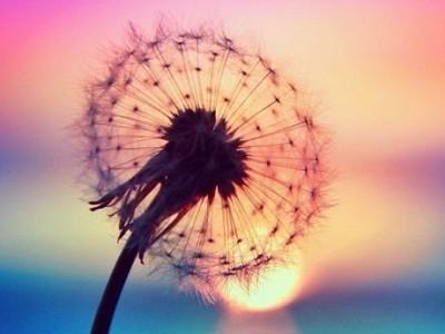 男人对女人伤心透彻的语句