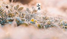 关于小寒最著名的古诗