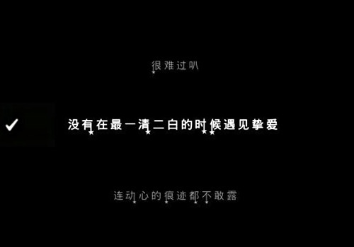 我不缺狗，不要来找我。