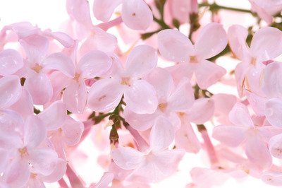 15.如果你不能原谅彼此的小缺点，那么你就无法长久地实现友谊。