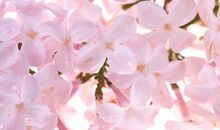 遇见友情句子唯美短句