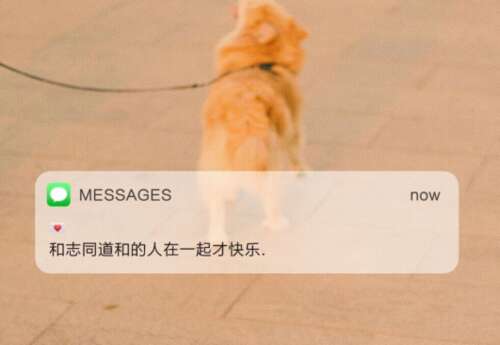 对你男朋友的绅士的同意