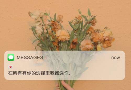 13.你是我的孩子，我抚摸着你。