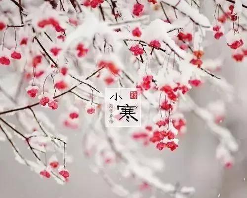 21，温暖的心，需要莲花;寒冷，一颗心，只要它在一个即时。秀雅，没有太多，我只会温暖你，让雪掩盖你的悲伤，让冷冻冻结你的烦恼！