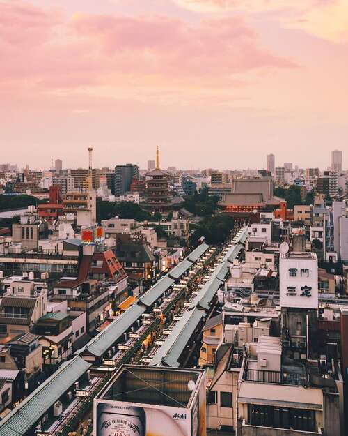 20，上莲：公鸡在一周唱歌;下行：道淑芳改革