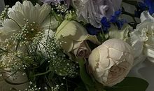 不被爱的心碎句子