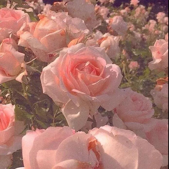 日本温暖艺术句