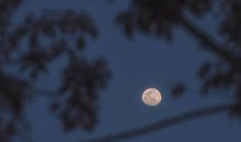 不为心外之物在意