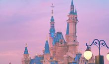 下苦功夫努力的句子