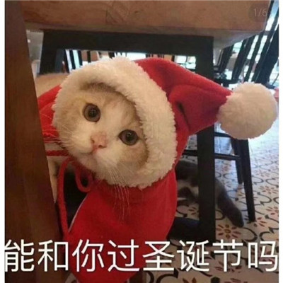 15,等待雪花圣诞树新年烟花,更好的你。