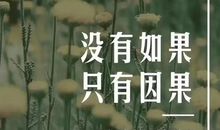 发朋友圈最吸引人的句子