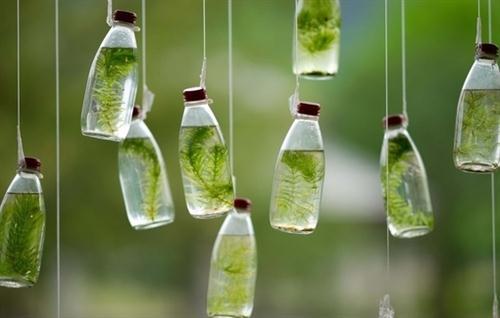 爱情故事是第一次说的