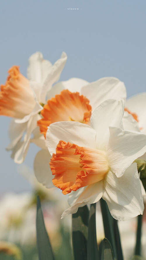 坚持不懈的句子1