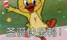 收到圣诞礼物开心感动的文案