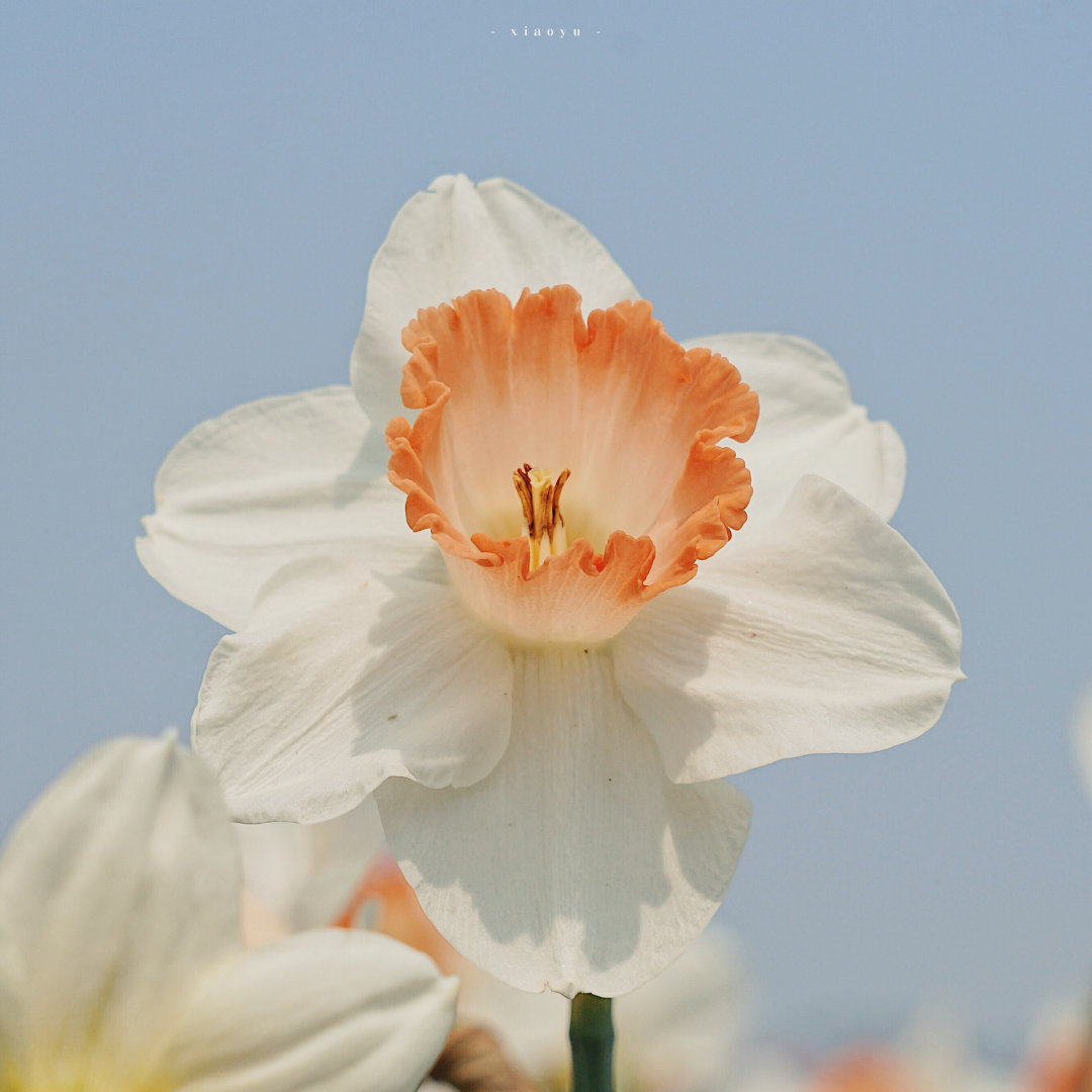 15.我已经选择了自己的道路，我会坚定不移地。由于我已经开始了这条路，那么任何东西都不应该阻碍我沿着这条路走。康德