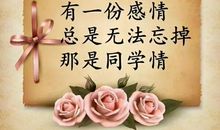 新年祝福同事的话简短