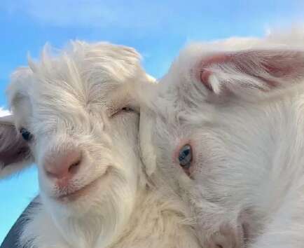 我想给你一些长途才能去3月去。