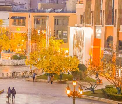 15. 12月，一年的时间安静。然而，在12月，召回和深思熟虑尚不结名。似乎在本赛季发生了一切，这似乎是本赛季的。 12月，在深圳，一个温暖的地方，但取代了一种荒凉的情绪。