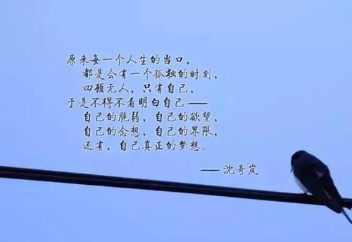 失望的句子短句